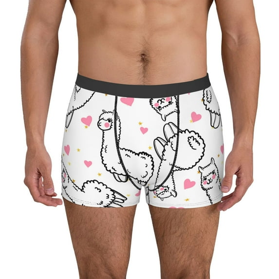 Susaid Alpacas and Hearts Print Men's Mesh Boxer Briefs Cooling Breathable Sports Underwear Wide Waistband Boxer Briefs W/Fly-Medium