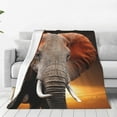 thumbnail image 1 of Susaid Elephant Sunset in Kenya Print Microfiber Cleaning Cloth, Multi-Functional Cleaning Towels, Highly Absorbent Cleaning Rags,Cleaning Cloths for Car Kitchen Home-40"x30", 1 of 7