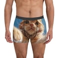 thumbnail image 1 of Susaid Playful Cat Fisheye View Print Men's Mesh Boxer Briefs Cooling Breathable Sports Underwear Wide Waistband Boxer Briefs W/Fly-Medium, 1 of 5