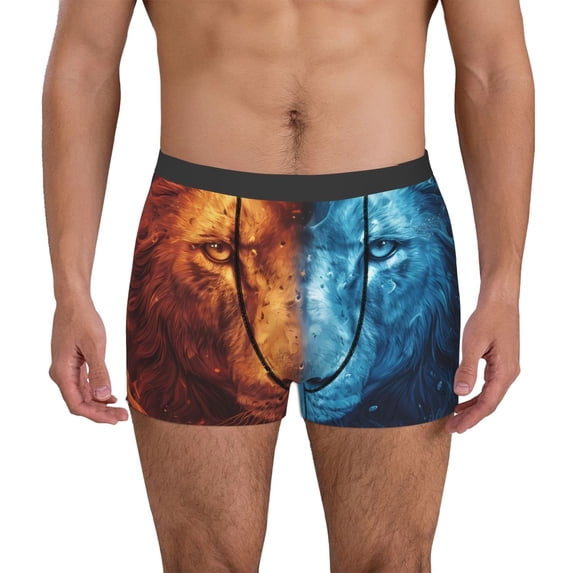 Susaid Red And Blue Fire Lion Print Men's Mesh Boxer Briefs Cooling Breathable Sports Underwear Wide Waistband Boxer Briefs W/Fly-Large