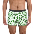 thumbnail image 1 of Susaid St Patrick's Day4 Print Men's Mesh Boxer Briefs Cooling Breathable Sports Underwear Wide Waistband Boxer Briefs W/Fly-X-Large, 1 of 5