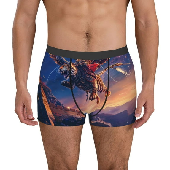 Susaid Starry Sky Flying Tiger Print Men's Mesh Boxer Briefs Cooling Breathable Sports Underwear Wide Waistband Boxer Briefs W/Fly-XX-Large