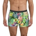 thumbnail image 1 of Susaid Watercolor Blooming Cactus Print Men's Mesh Boxer Briefs Cooling Breathable Sports Underwear Wide Waistband Boxer Briefs W/Fly-Large, 1 of 5