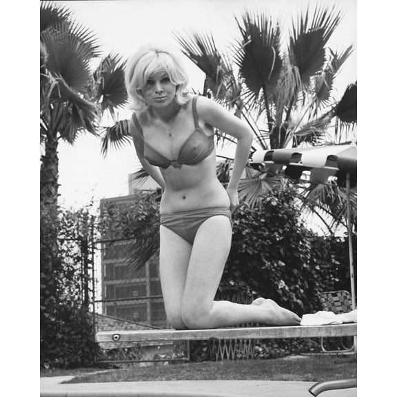 Susan Denberg In Summer Look On Diving Board 24x36 Classic Hollywood Poster