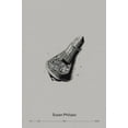 thumbnail image 1 of Susan Philipsz: You Are Not Alone, (Paperback), 1 of 1