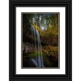 thumbnail image 1 of Susan Vizvary Photography 13x18 Black Ornate Wood Framed with Double Matting Museum Art Print Titled - Mystical Falls 1, 1 of 4