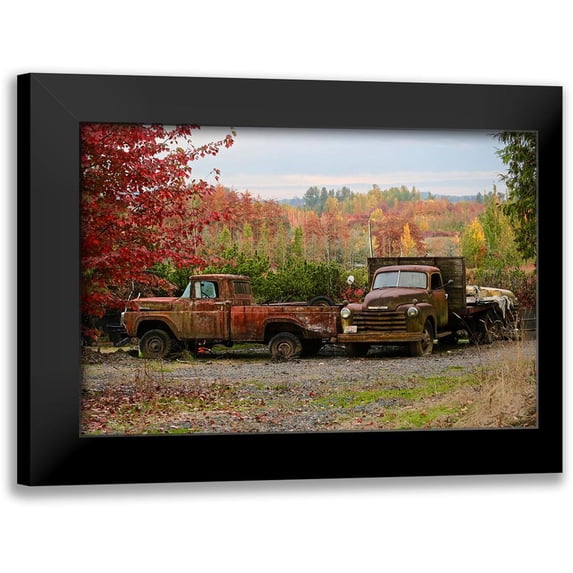 Susan Vizvary Photography 14x11 Black Modern Framed Museum Art Print Titled - 2 Autumn Vintage Trucks
