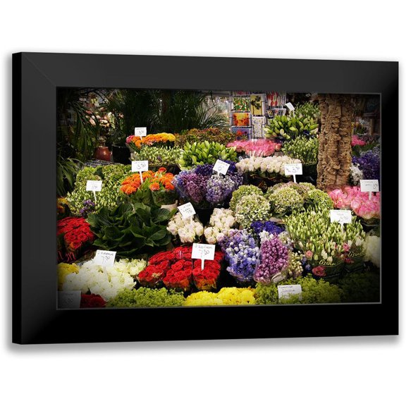 Susan Vizvary Photography 14x11 Black Modern Framed Museum Art Print Titled - Flower Mart