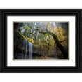 thumbnail image 1 of Susan Vizvary Photography 14x11 Black Ornate Wood Framed with Double Matting Museum Art Print Titled - Mystical Falls 2, 1 of 4
