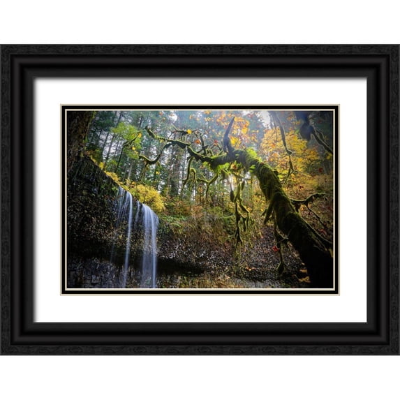 Susan Vizvary Photography 14x11 Black Ornate Wood Framed with Double Matting Museum Art Print Titled - Mystical Falls 2