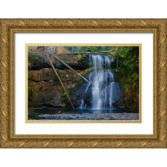 Susan Vizvary Photography 14x11 Gold Ornate Wood Framed with Double Matting Museum Art Print Titled - Three Trunk Waterfall