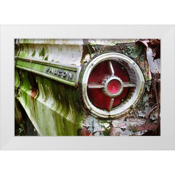 Susan Vizvary Photography 14x11 White Modern Wood Framed Museum Art Print Titled - Falcon Copy
