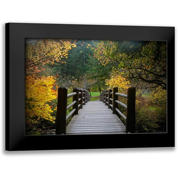 Susan Vizvary Photography 18x13 Black Modern Framed Museum Art Print Titled - Autumns Bridge