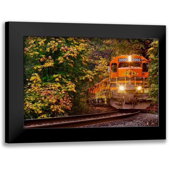 Susan Vizvary Photography 18x13 Black Modern Framed Museum Art Print Titled - Closest Train on the Tracks