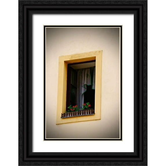 Susan Vizvary Photography 23x32 Black Ornate Wood Framed with Double Matting Museum Art Print Titled - Yellow Window Flowerbox