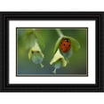thumbnail image 1 of Susan Vizvary Photography 24x17 Black Ornate Wood Framed with Double Matting Museum Art Print Titled - Lone Ladybug, 1 of 4