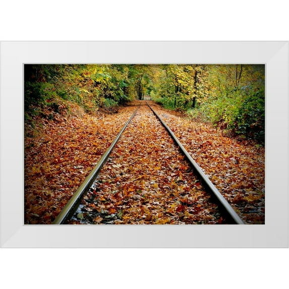 Susan Vizvary Photography 24x17 White Modern Wood Framed Museum Art Print Titled - Looking Down the Tracks