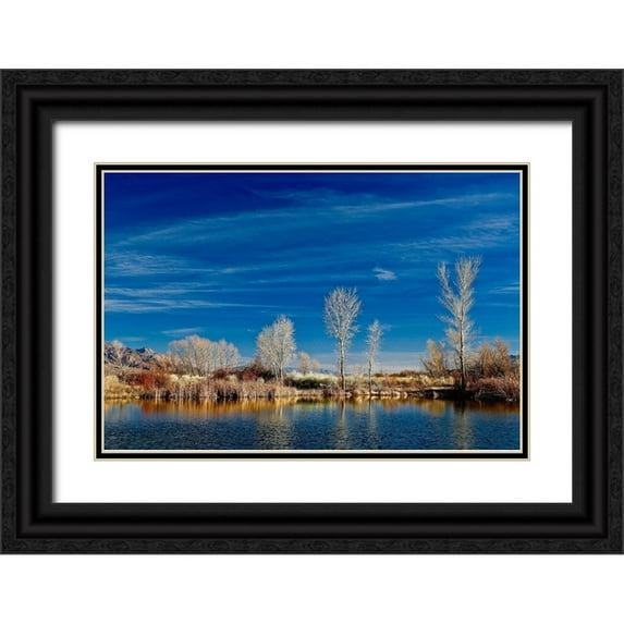 Susan Vizvary Photography 32x23 Black Ornate Wood Framed with Double Matting Museum Art Print Titled - White Reflecting Trees