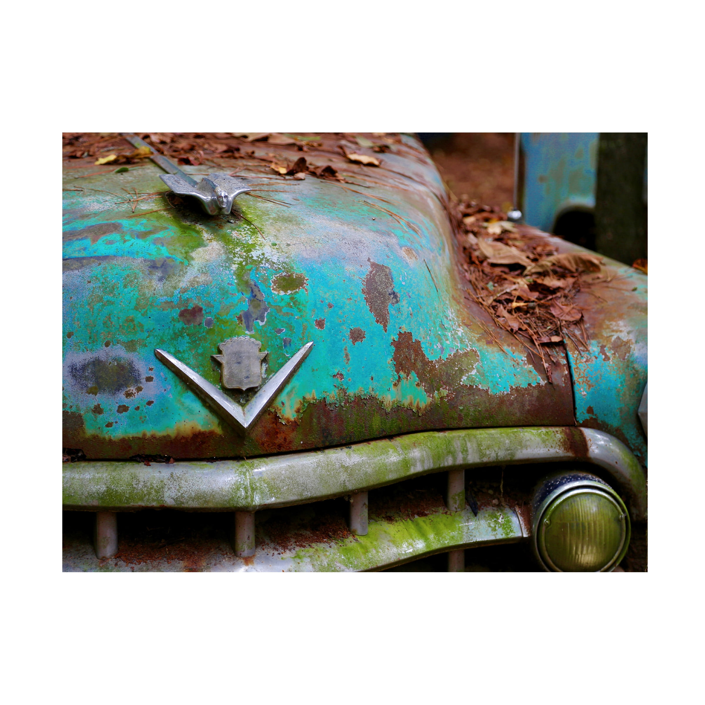 Susan Vizvary Photography 'Cadillac Hood Ornament' Canvas Art