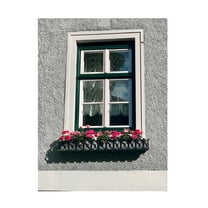 Susan Vizvary Photography 'Green Window Flowerbox Black and White' Canvas Art