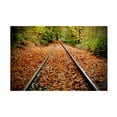 thumbnail image 1 of Susan Vizvary Photography 'Looking Down the Tracks' Canvas Art, 1 of 4