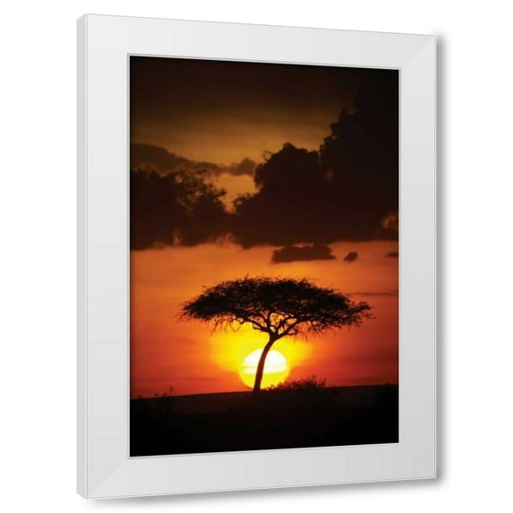 Susann Parker 11x14 White Modern Wood Framed Wall Art Titled - Kenya Sunrise
