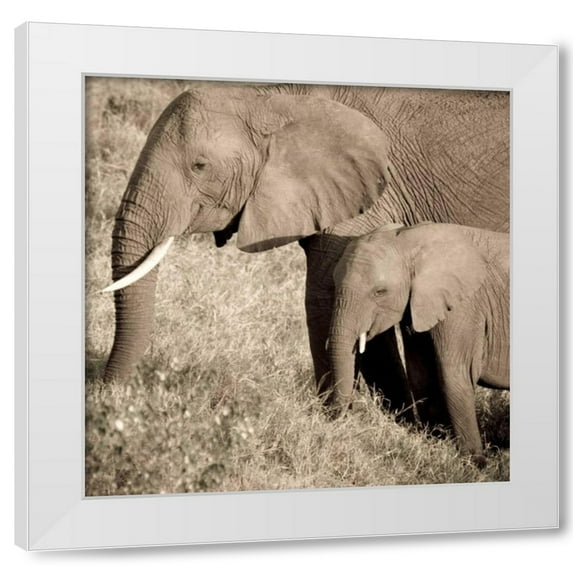 Susann Parker 12x12 White Modern Wood Framed Wall Art Titled - The Ultimate Bonding