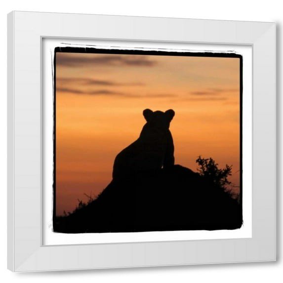 Susann Parker 26x26 White Modern Wood Framed Wall Art Titled - Radiant Africa III