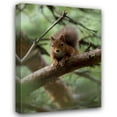 thumbnail image 1 of Susann Parker 28x37 Gallery Wrapped Canvas Wall Art Titled - Woodland Essentials, 1 of 4