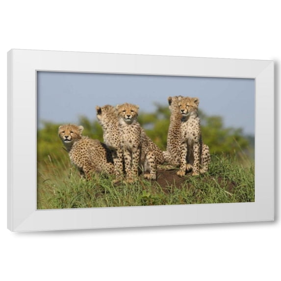 Susann Parker 32x22 White Modern Wood Framed Wall Art Titled - The Tribe