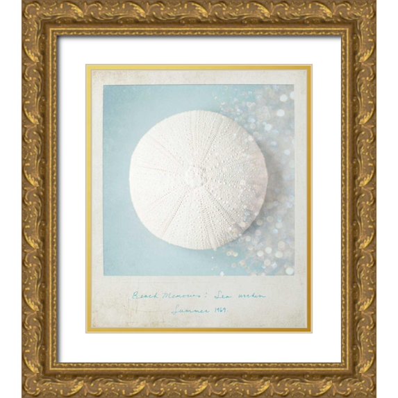 Susannah Tucker Photography 20x23 Gold Ornate Wood Framed with Double Matting Museum Art Print Titled - Beach Memories Sea Urchin