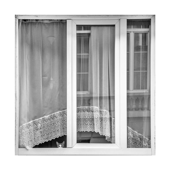 Susanne Stoop 'Kitten Window' Canvas Art