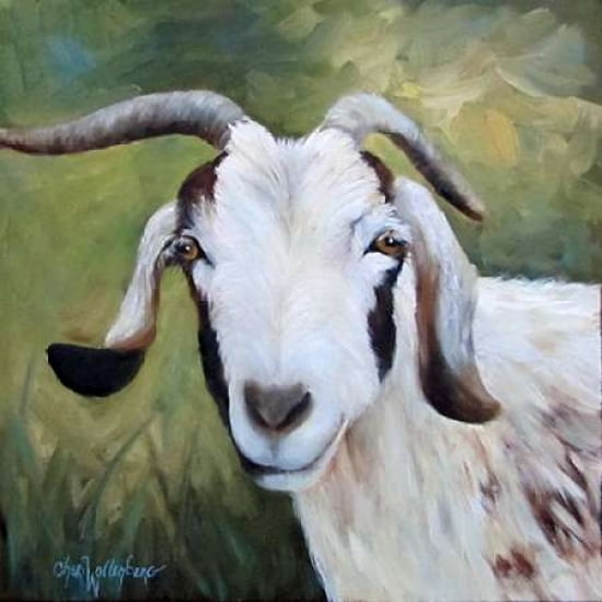 Susans Goat Billy Canvas Art - Cheri Wollenberg (24 x 24)