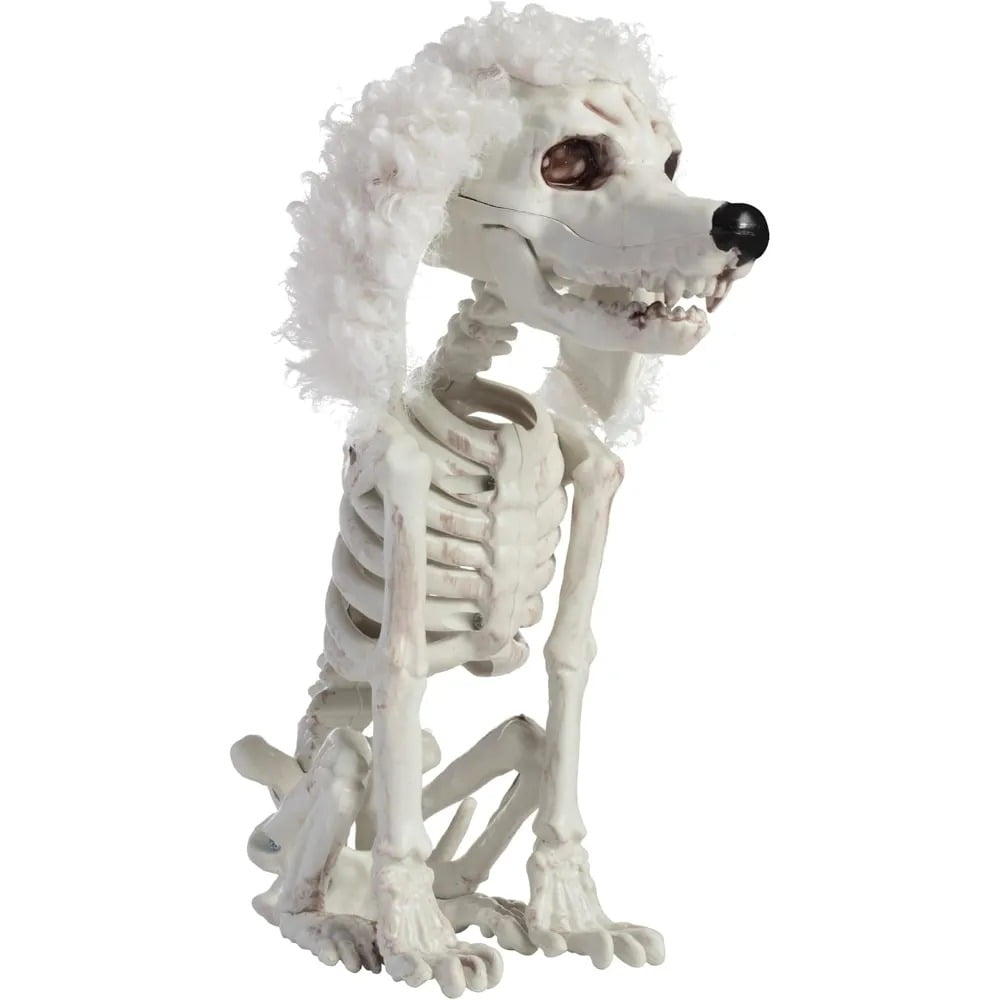 Schattig skelet van een Grim Reaper en een spookbeeld van een wandelende hond
