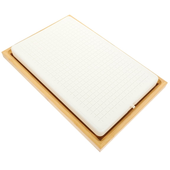 COOPHYA 1Set Plastic Sushi Plate Wear Resistant Ice Tray For Restaurant Use Ice Preservation 13X9X1In