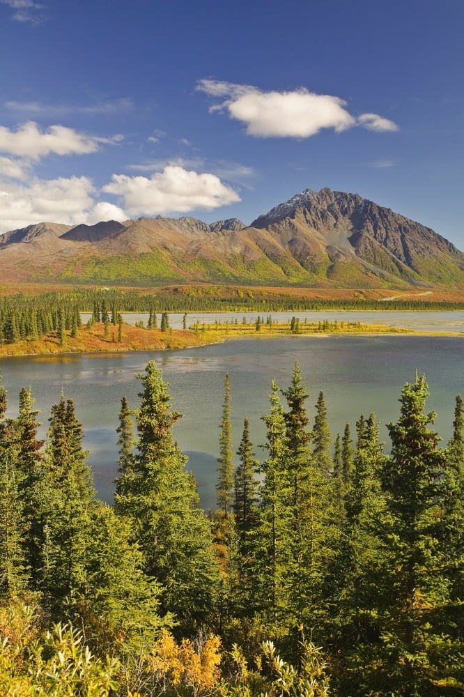 Susitna River Near The Denali Highway Southcentral Alaska Autumn Canvas Art - Kevin Smith Design Pics (24 x 38)