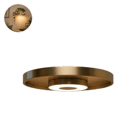 Suspended Floating Shelf with LED Lighting for Modern Home Decor Wall Mount Display for Plants and Small Items in Living Rooms and Offices