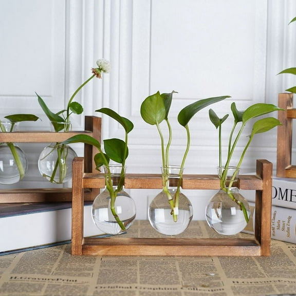 MERRYHAPY Merryhapy Ball Vase Transparent Hydroponic Plant Container Modern Decor 1Set