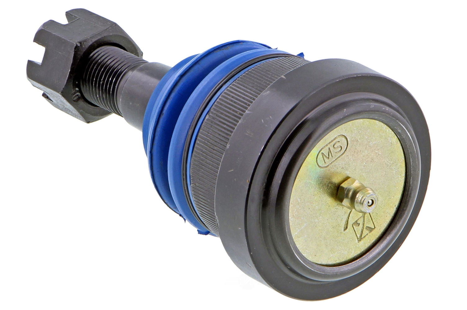 Warburton ワーバートン 6MD series80 7backbore Warburton ワーバートン 6MD series80 7backbore