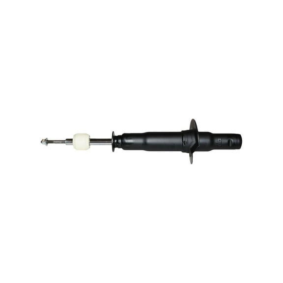 Suspension Strut Assembly Fits select: 2002-2005 CHEVROLET TRAILBLAZER, 2006-2008 CHEVROLET TRAILBLAZER LS/LT