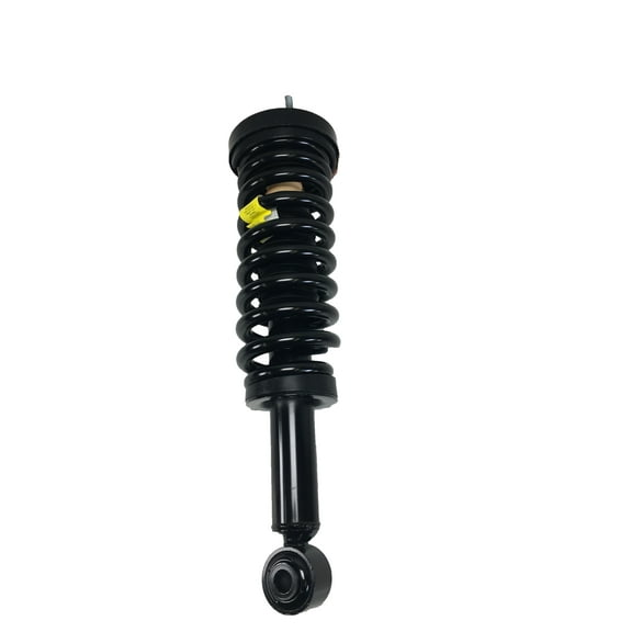 Suspension Strut and Coil Spring Assembly Fits select: 2009-2013 FORD F150