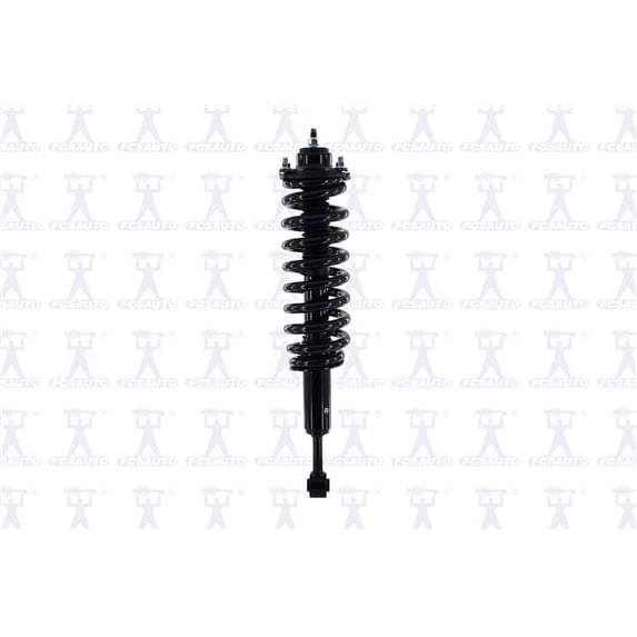 Suspension Strut and Coil Spring Assembly