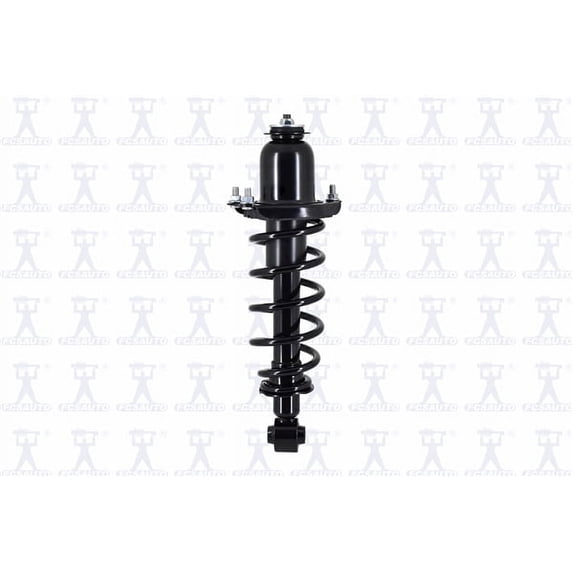 Suspension Strut and Coil Spring Assembly