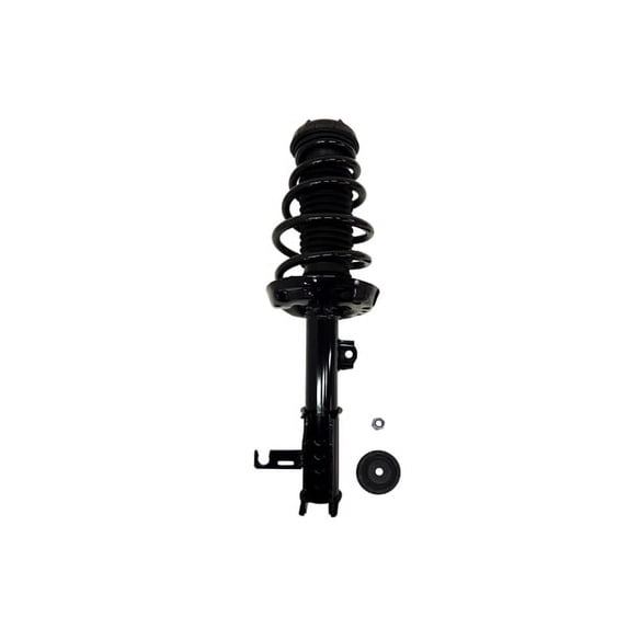 Suspension Strut and Coil Spring Assembly