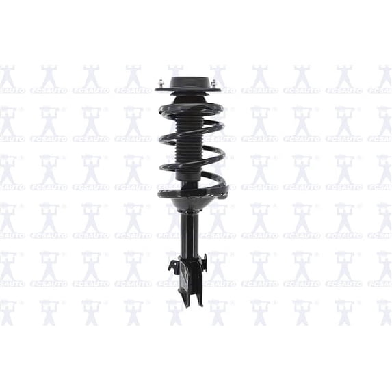 Suspension Strut and Coil Spring Assembly