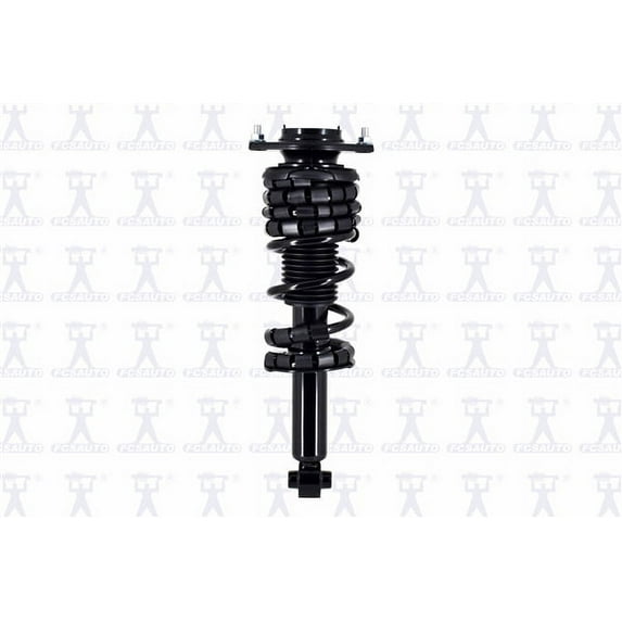 Suspension Strut and Coil Spring Assembly