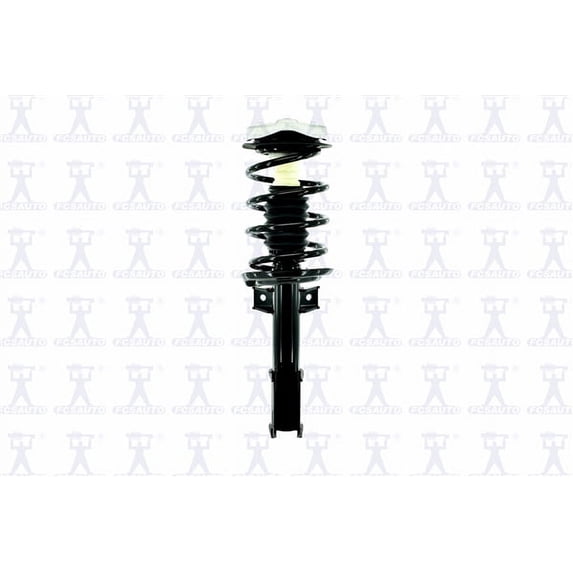 Suspension Strut and Coil Spring Assembly