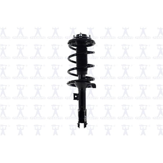 Suspension Strut and Coil Spring Assembly