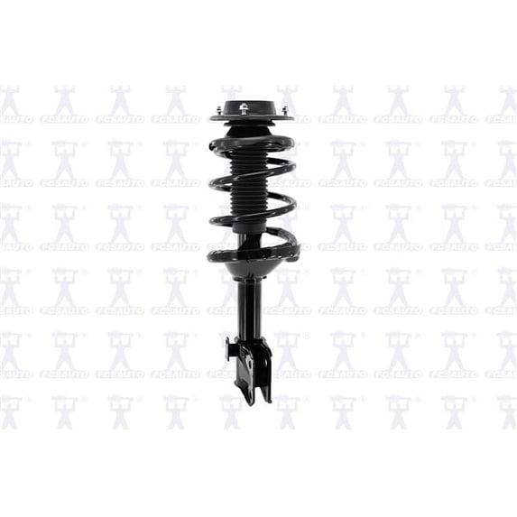 Suspension Strut and Coil Spring Assembly