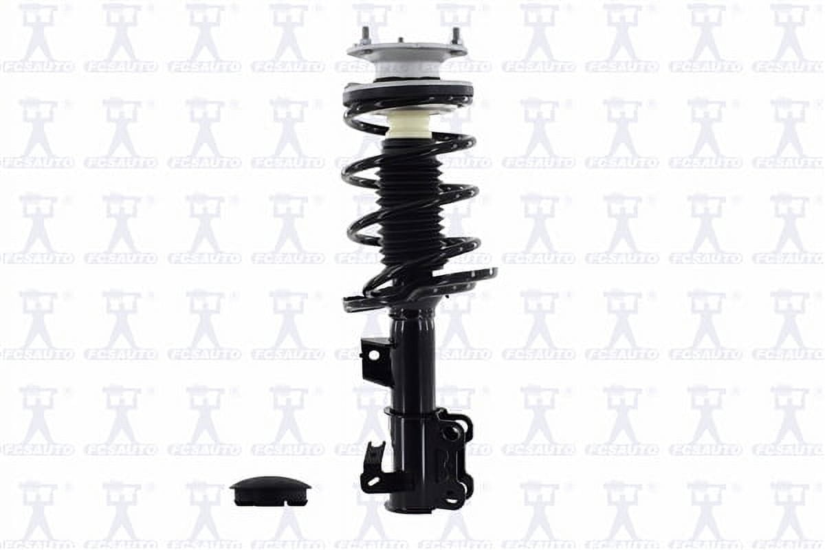 Suspension Strut and Coil Spring Assembly